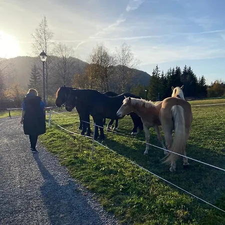 Sonnenschein Weissbriach