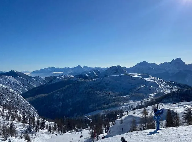 Sonnenschein וויסבריאך