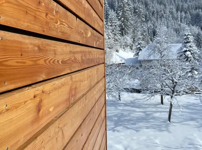 Sonnenschein * וויסבריאך